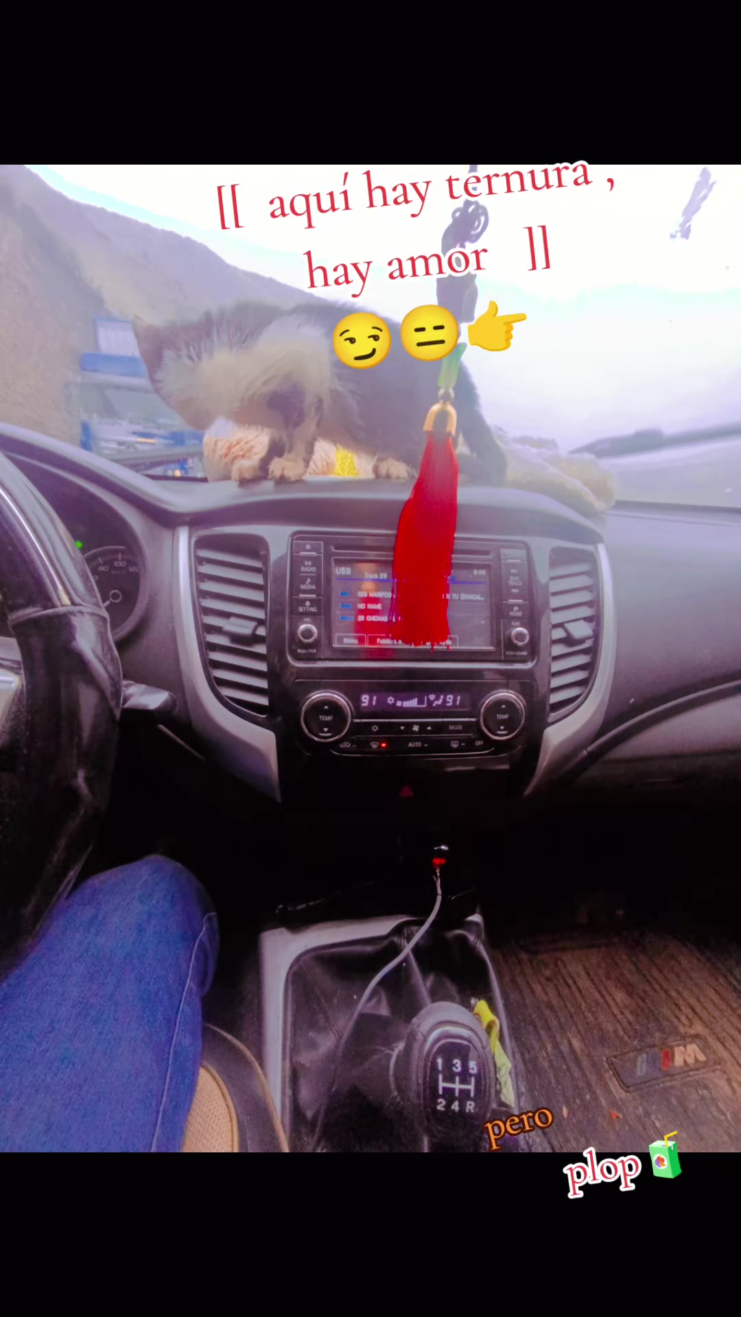@stebans0905 ๐๐งโ๏ธ