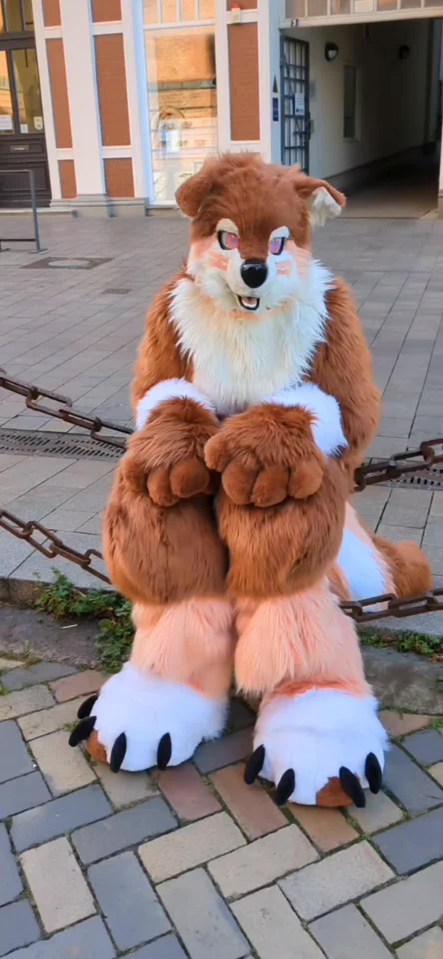 @🍑ℙ𝕖𝕒𝕔𝕙𝕠🍑