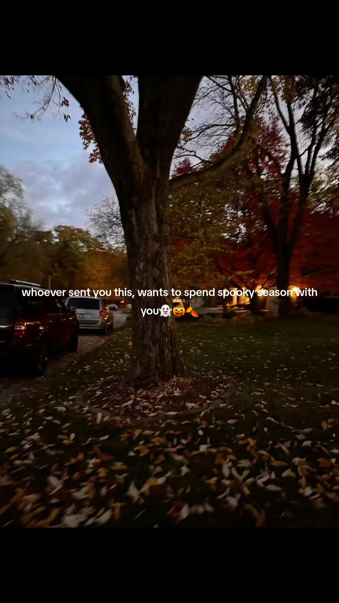 @FrightToFestive
