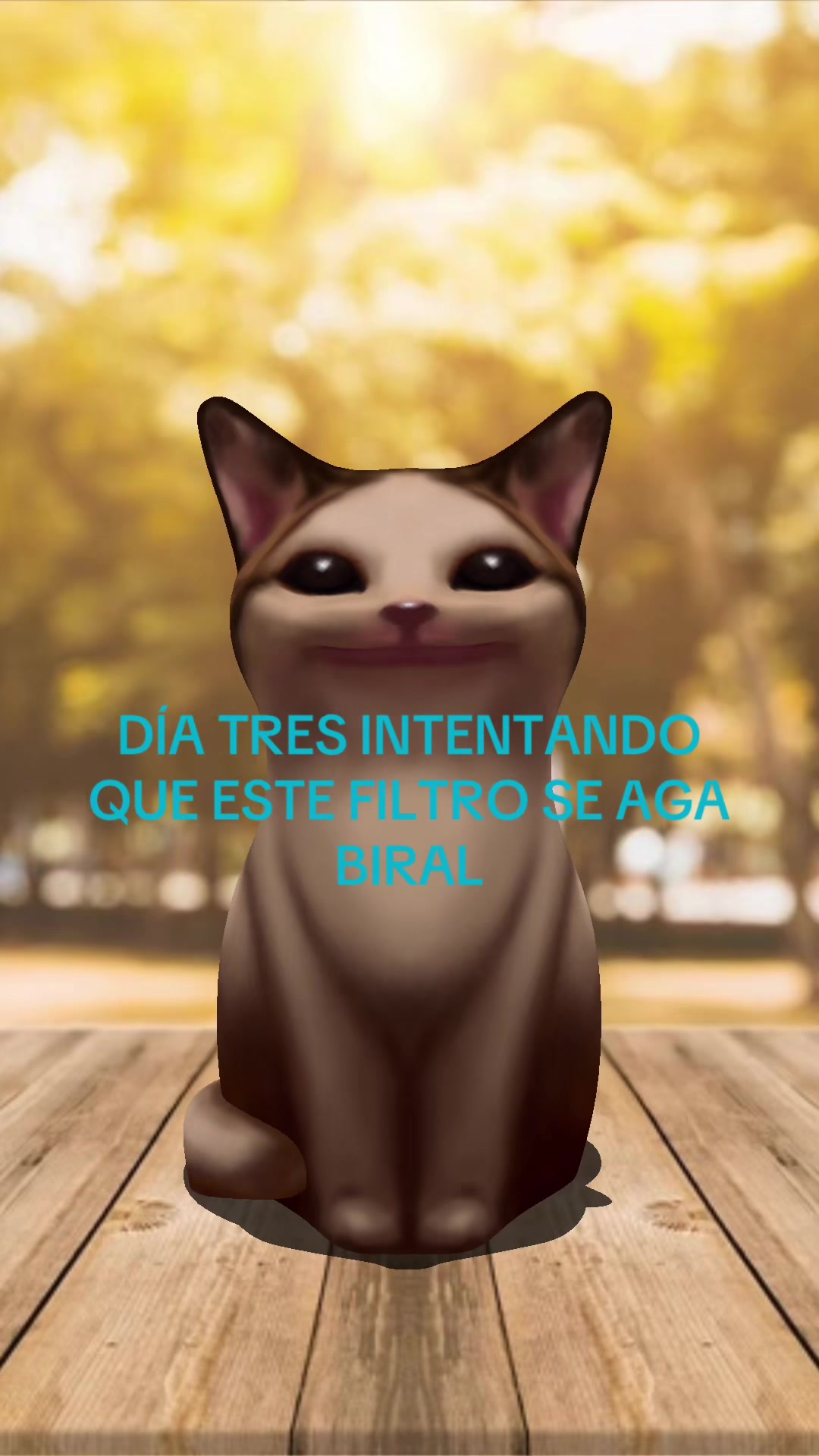 @Sofis