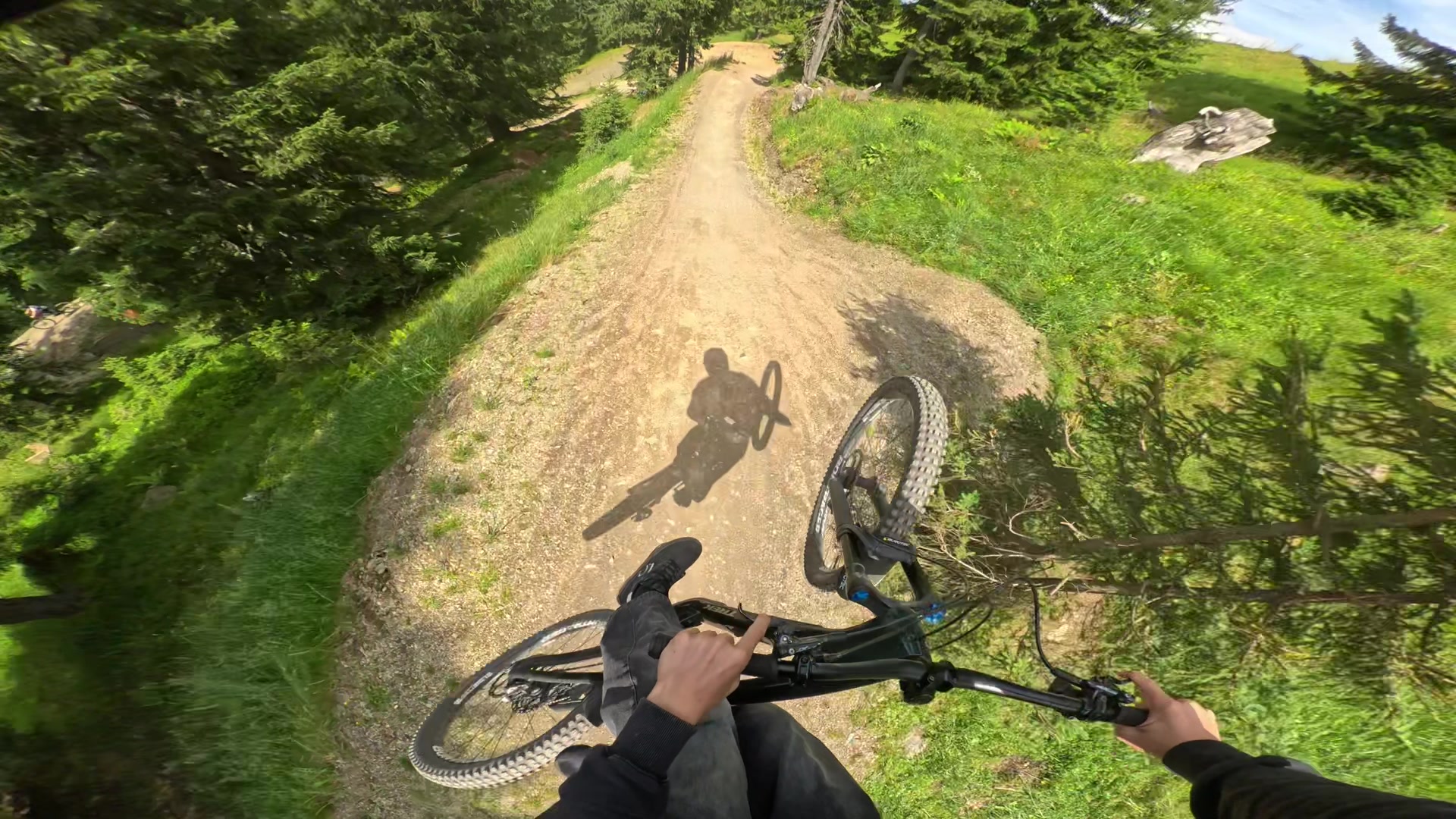 @🌲Freeride_Paul🌲