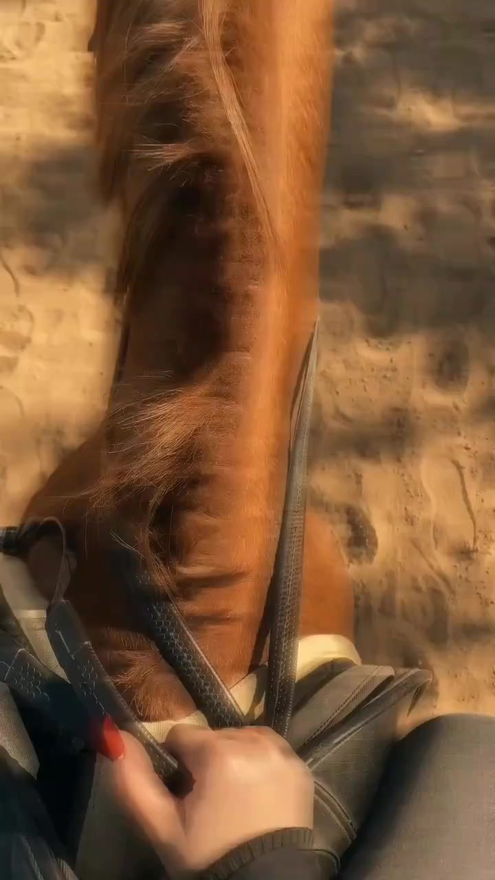@𓆩𝑹𓆪