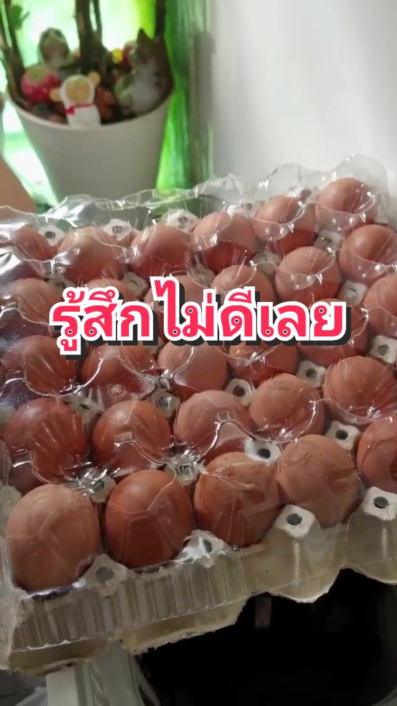 @🚗💨ไปเที่ยวกันไหม