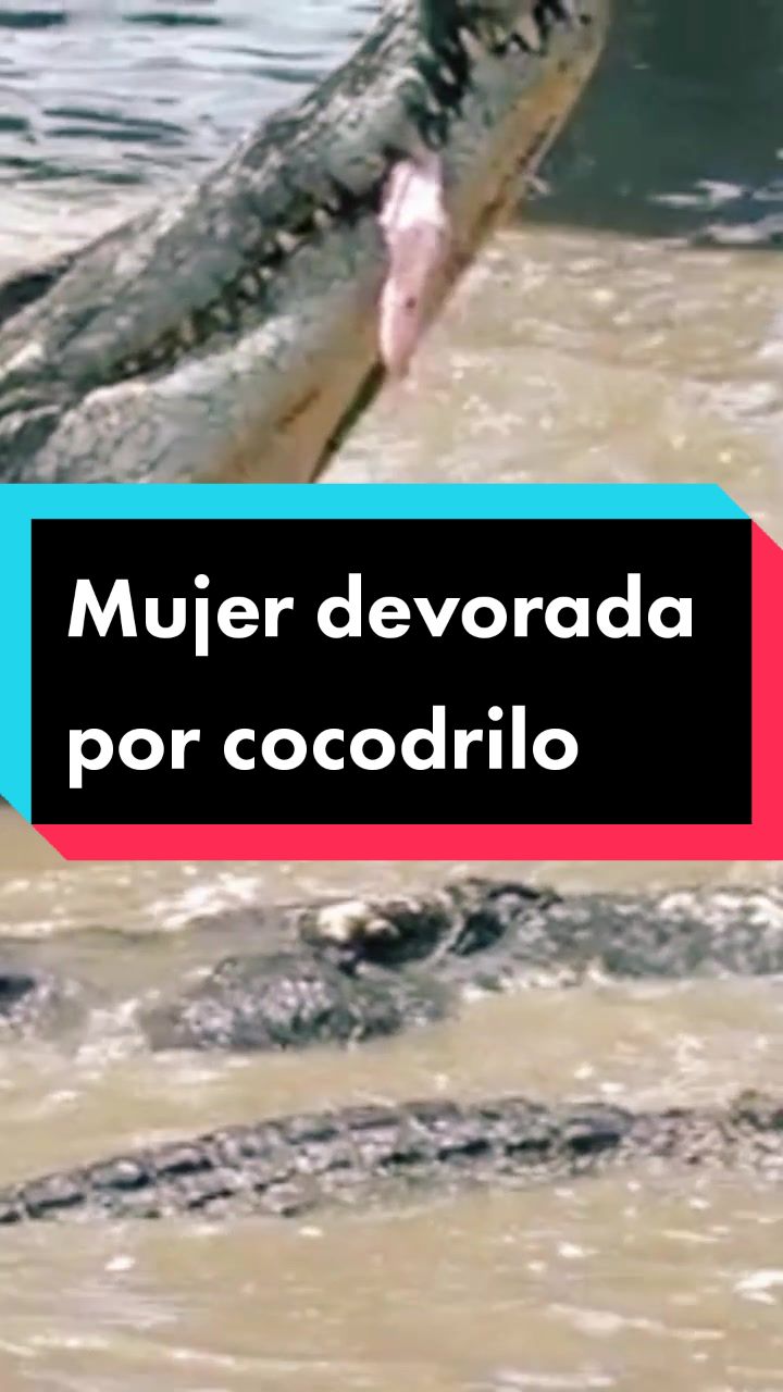 @Joe Croxel