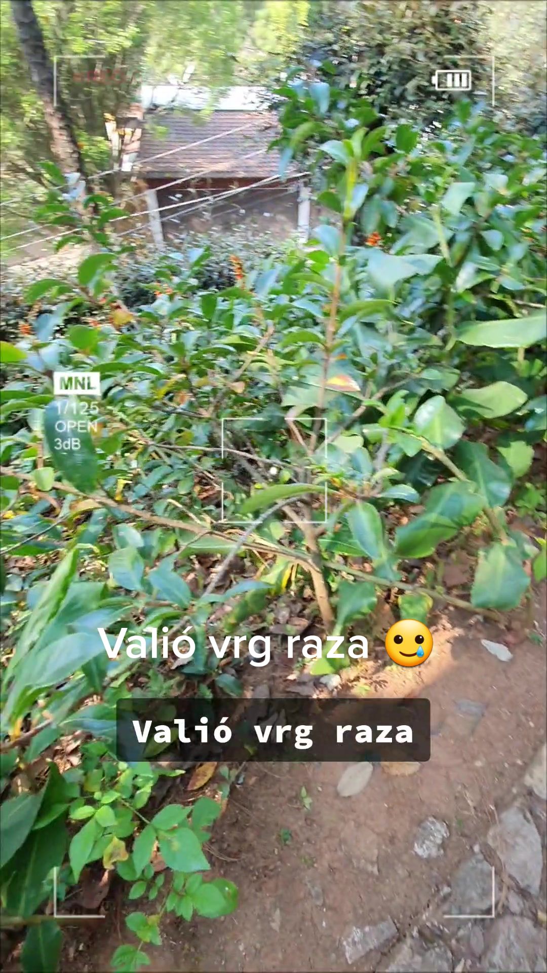 @Jesus Martinez