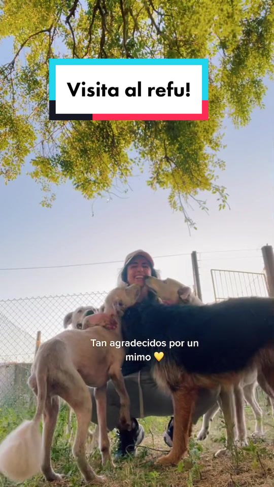 @Salvando Ando