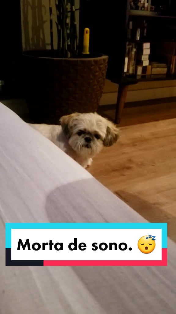 @Mel Spacemoon 🐶🐾