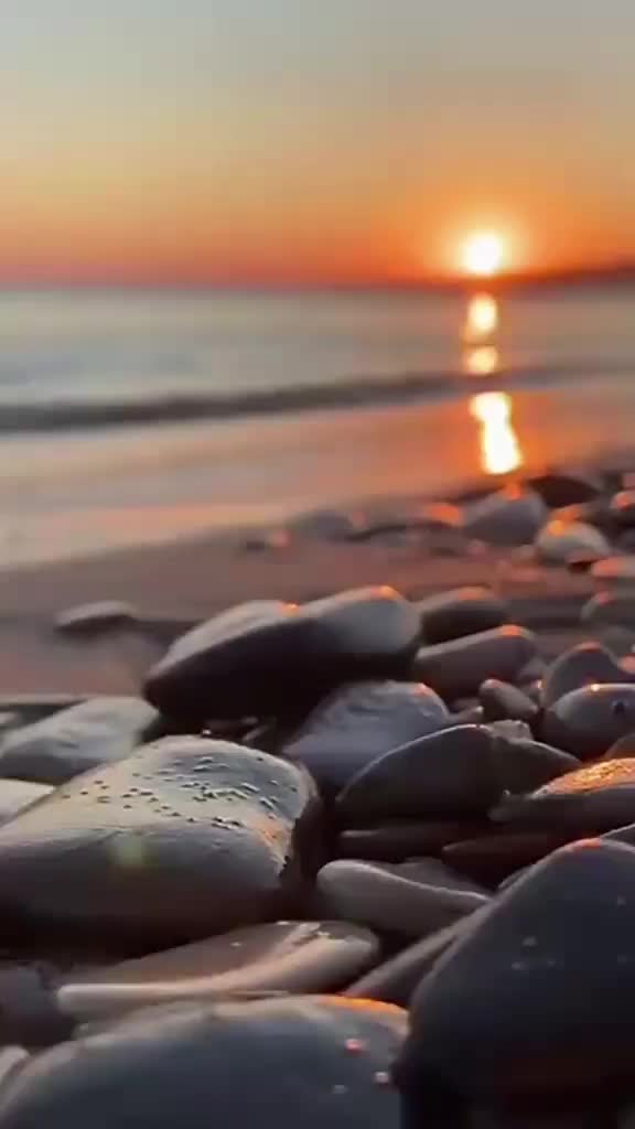@farazmalik555