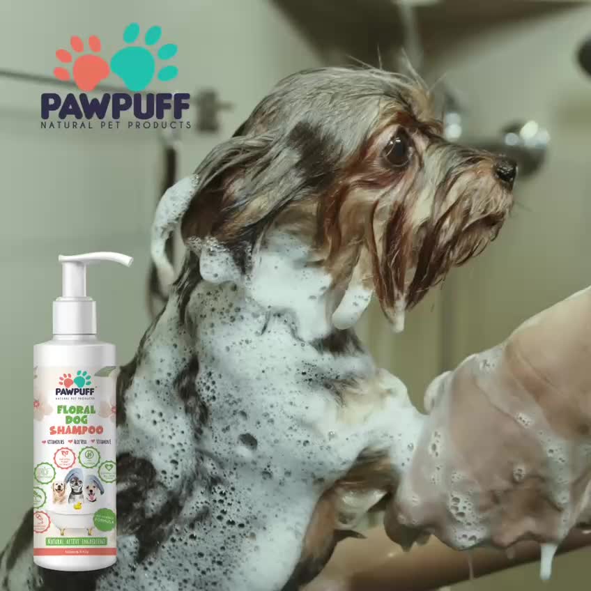 @PAW PUFF HOUSE