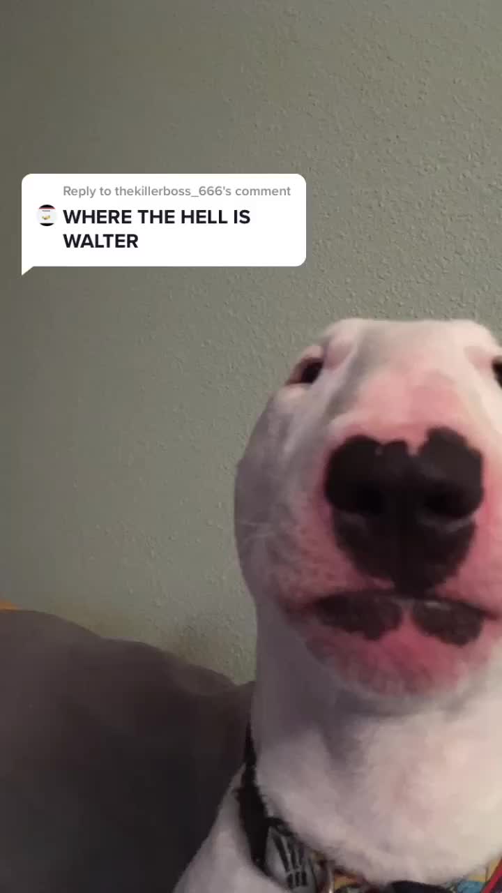 @Name here