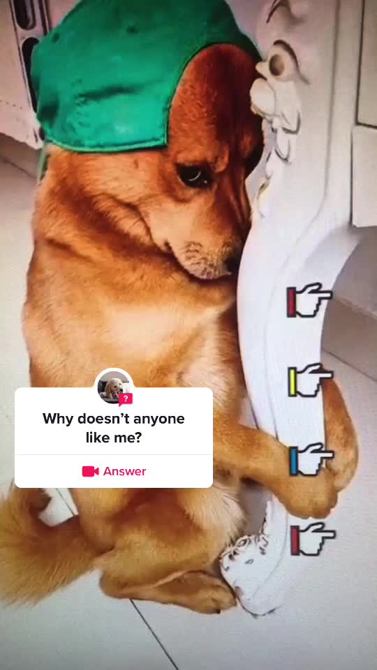 @xixite