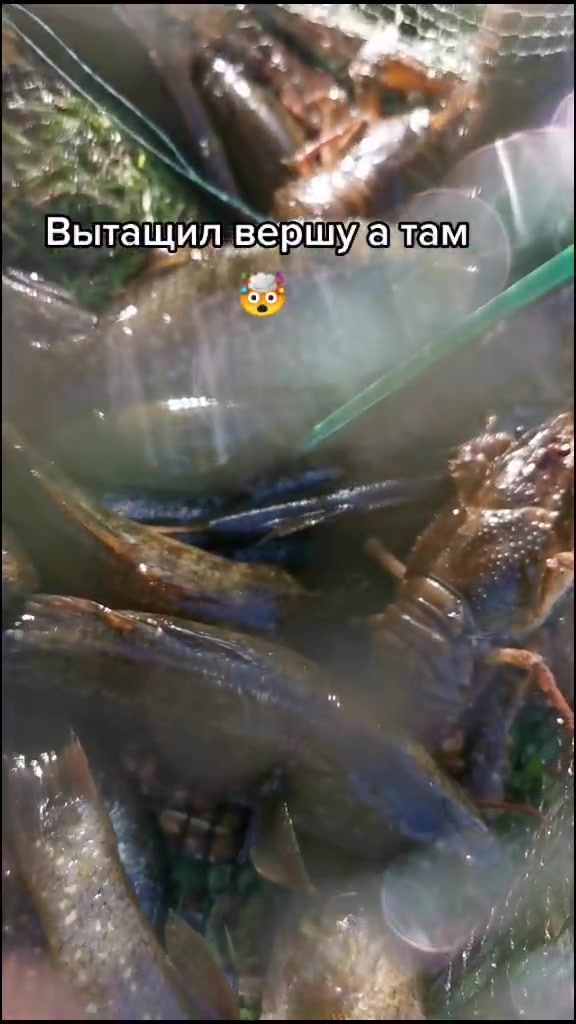 @С&alpha;ϻ&sigma;ӷ&sigma;ϰя &tau;ɞ