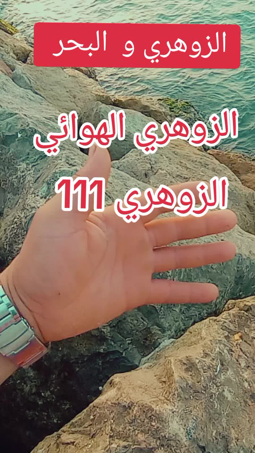 @الزوهري المعالج