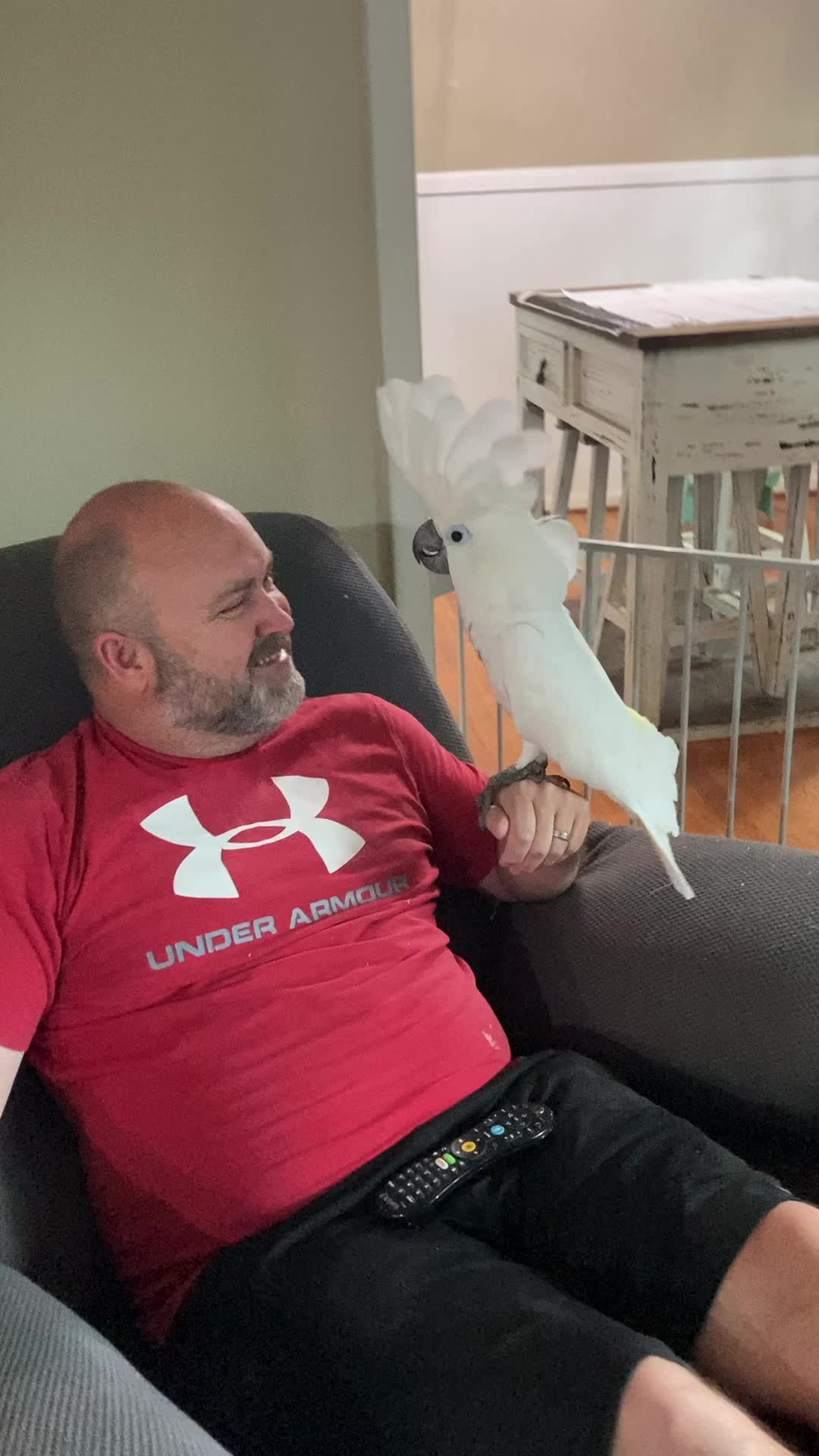 @Buster the cockatoo