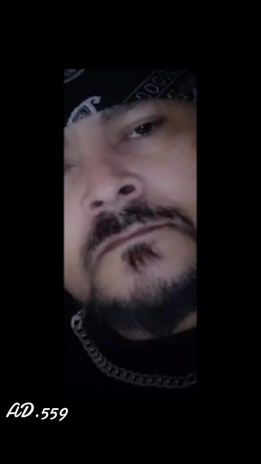 @ANT.DOG.theOG