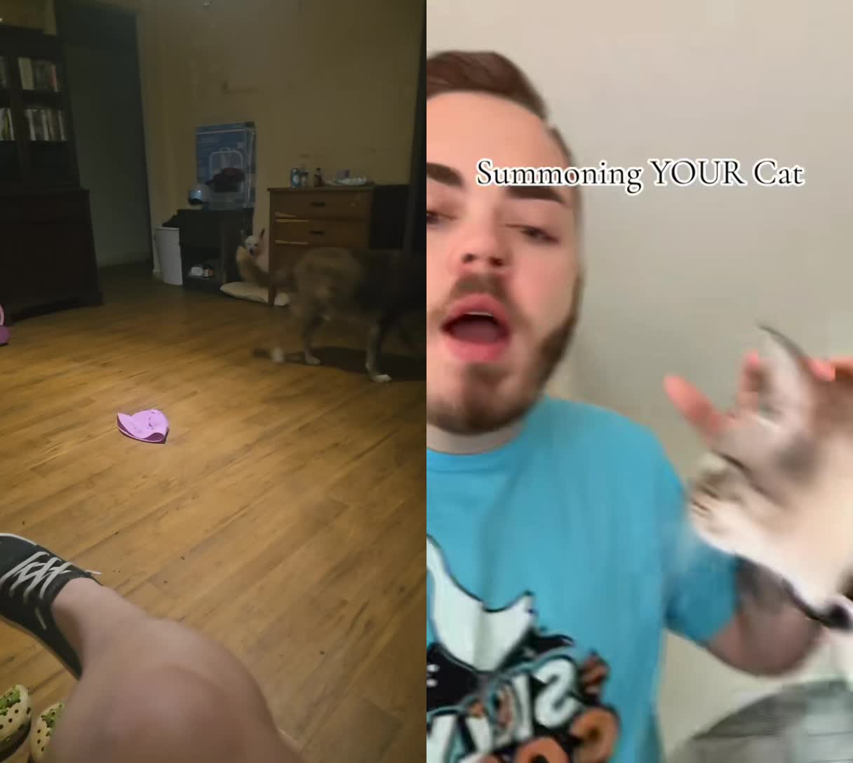 @Ashley