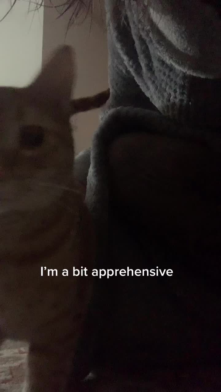 @mikyla