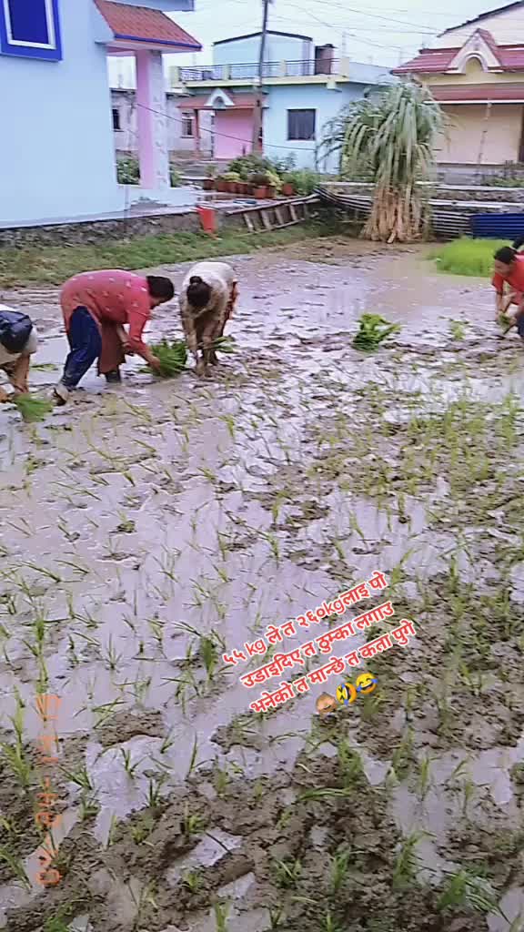 @KalpanaSaud15