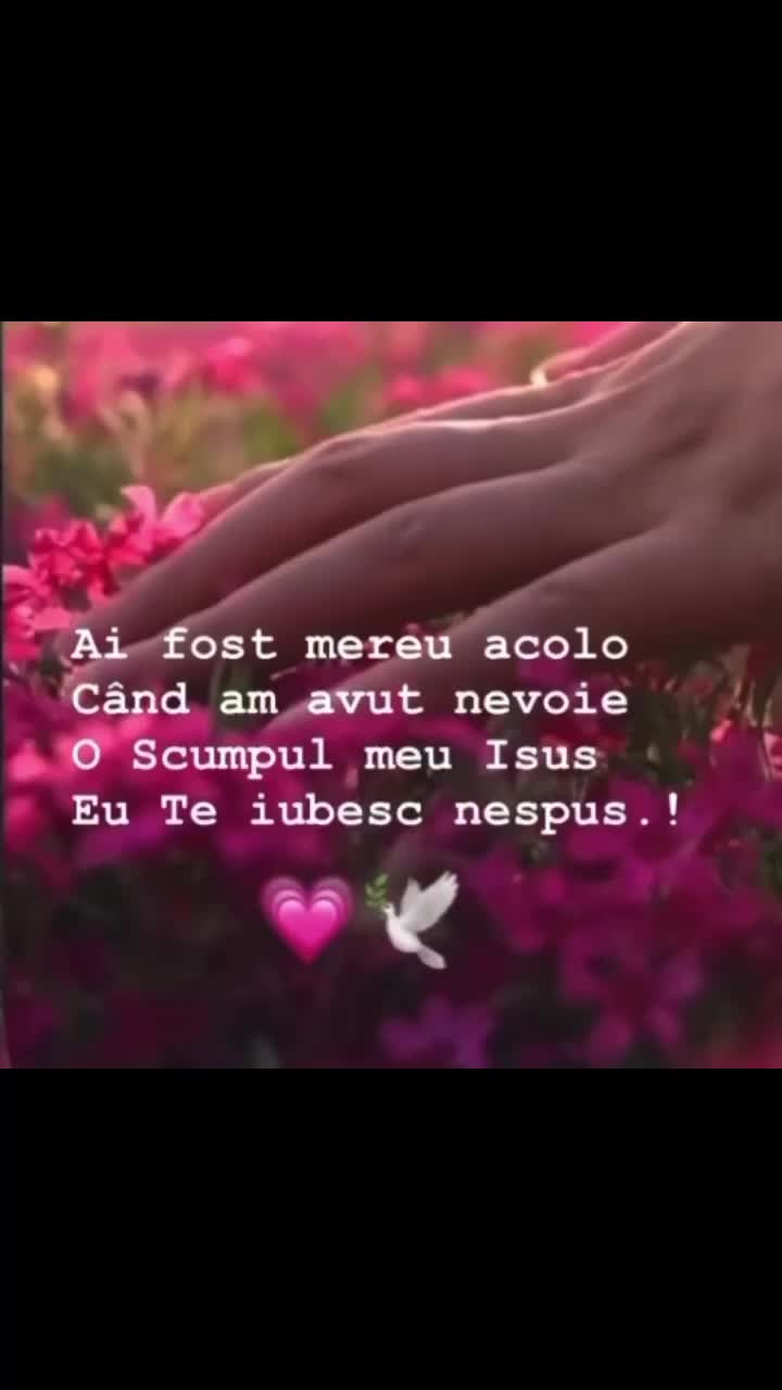 @🌸🕊️𝓡𝓮𝓫𝓮𝒄𝒂🕊️🌸