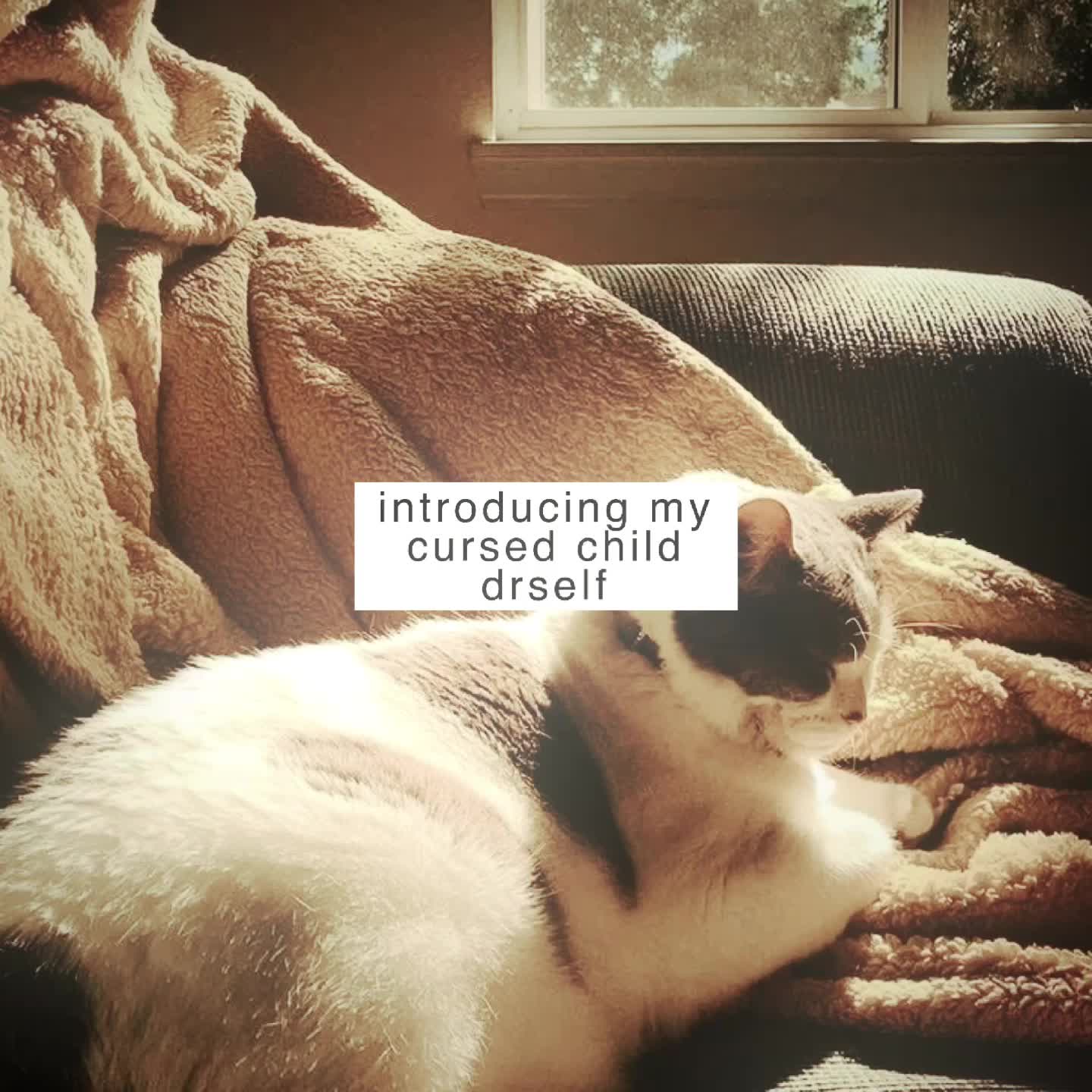 @jordyn ✰