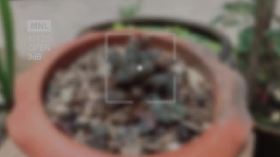 @Md. Ahad Al Alam