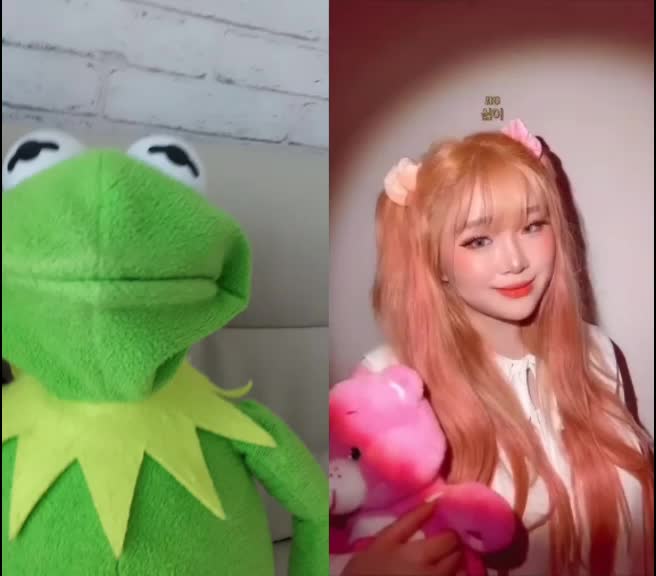 @커밋 터크랑 잘 노는중