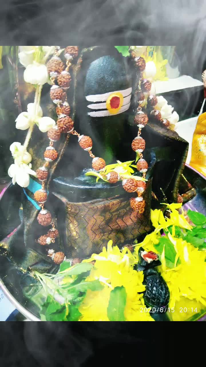 @ORGANICHOUSE