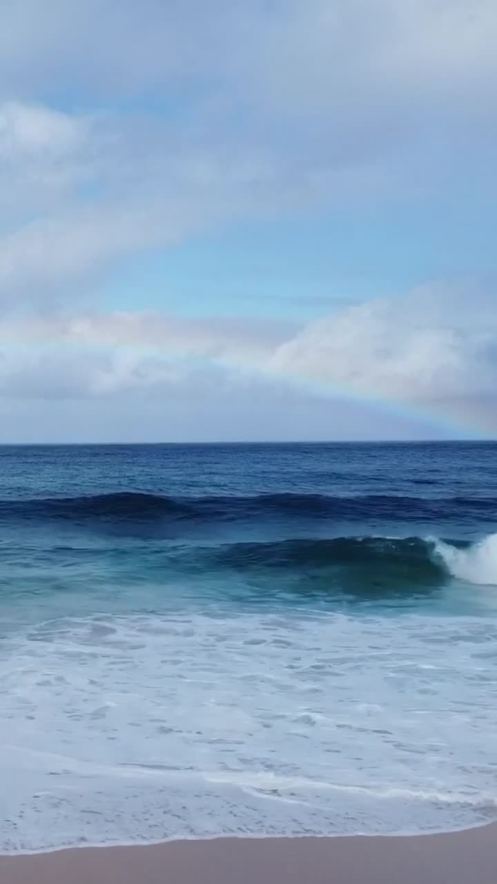 @northshoretreasurehu