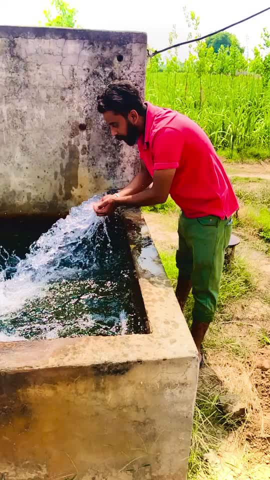@jass nanwa