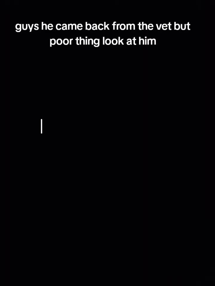 @Jayla Wrigley