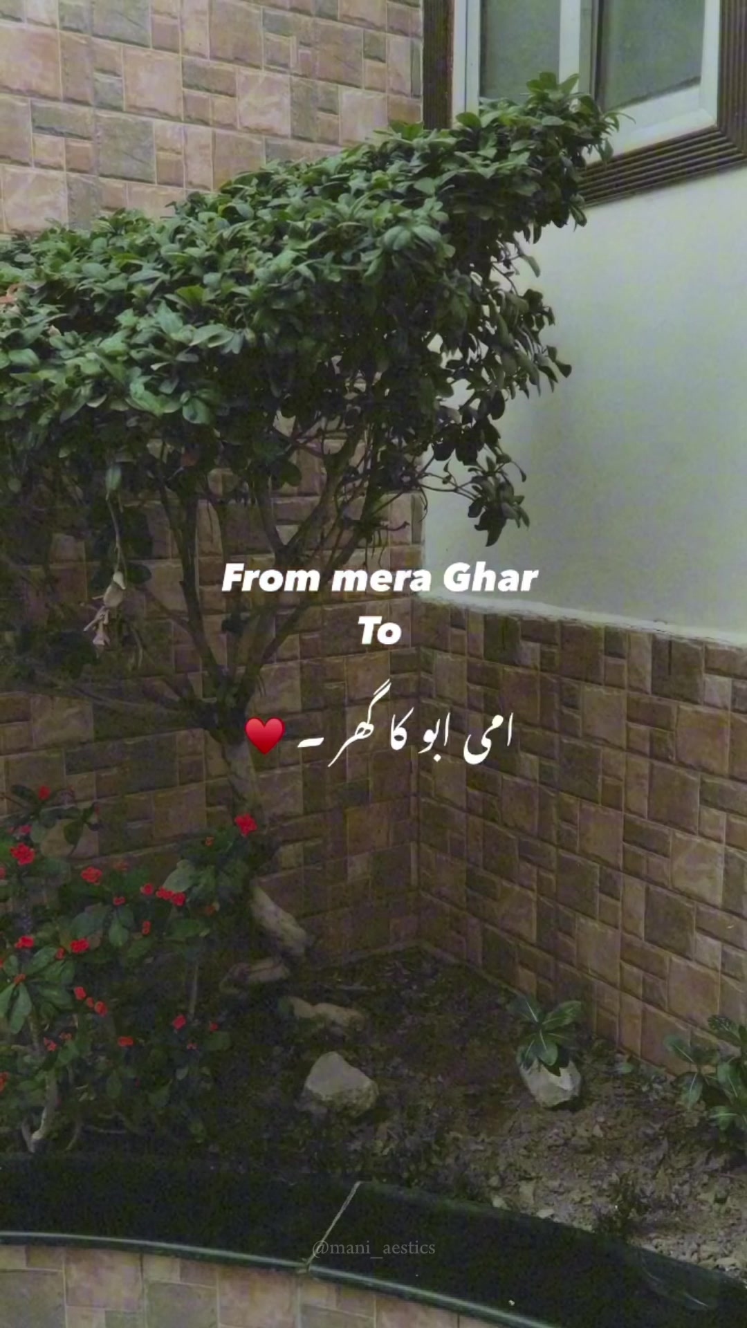 @M✨
