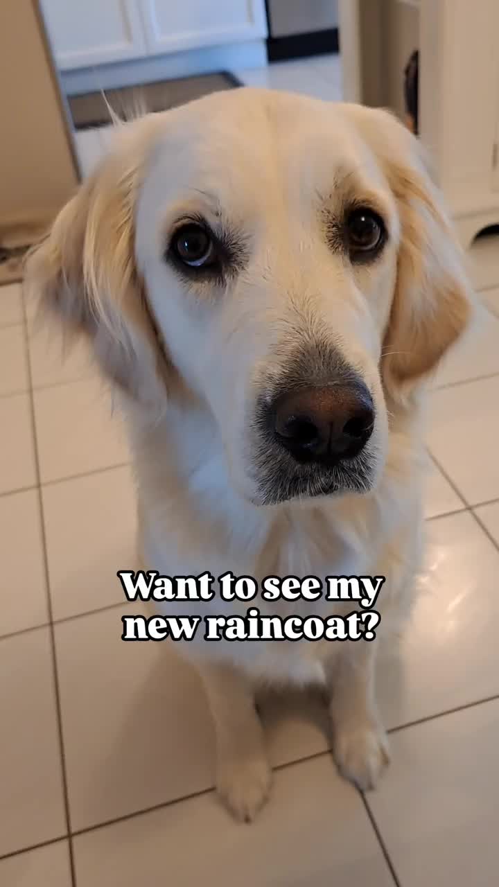 @MaxiTheCream