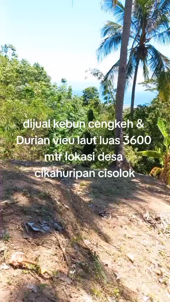 @JISIR