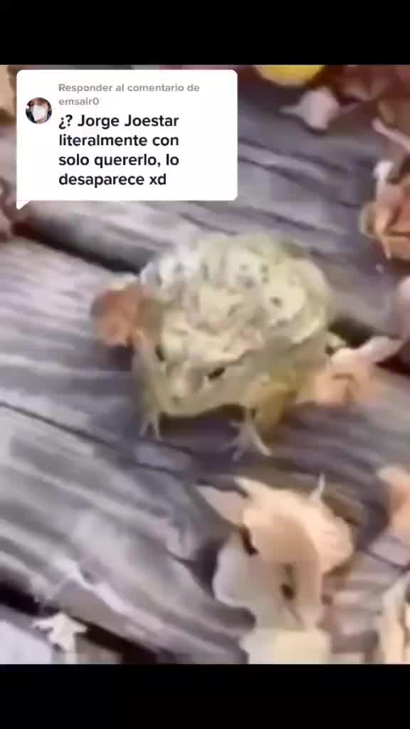 @SCPTard