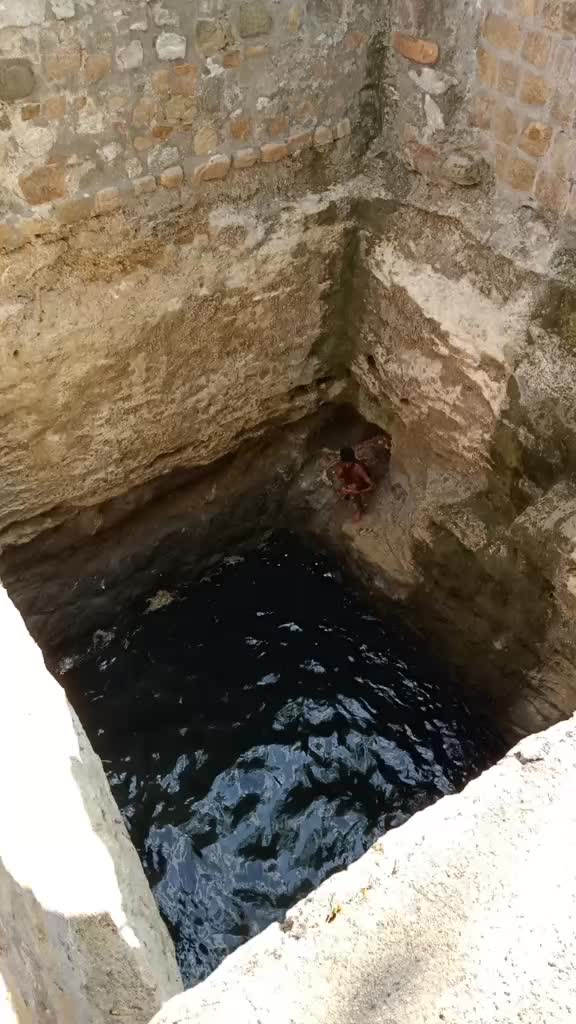 @அன்பே சிவம்🌍🚩