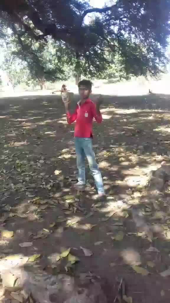 @Salman Mansuri