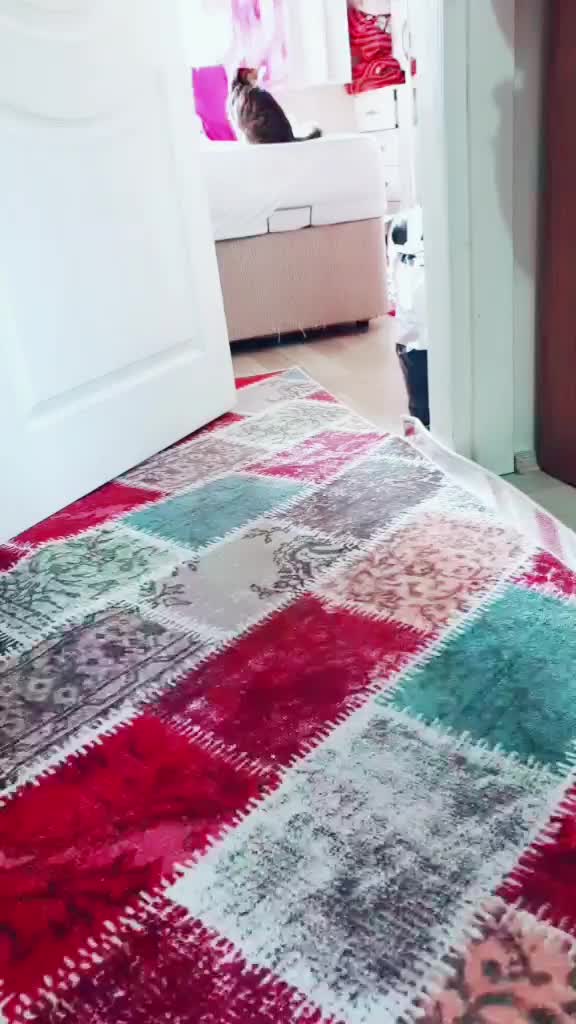 @lolagulgina