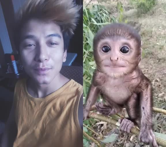 @Mayank Rongpaz Rawat