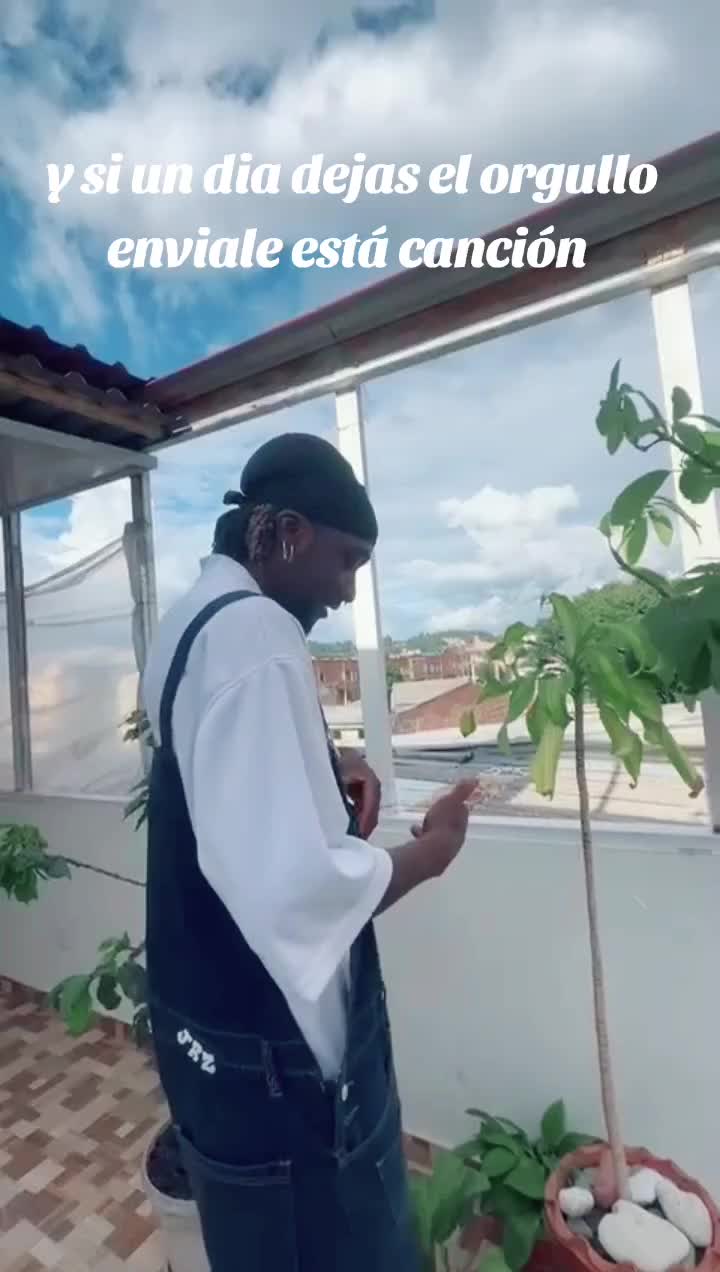 @tatankingoficial