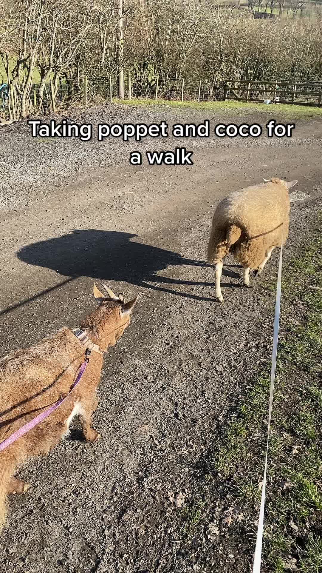 @Farming7744