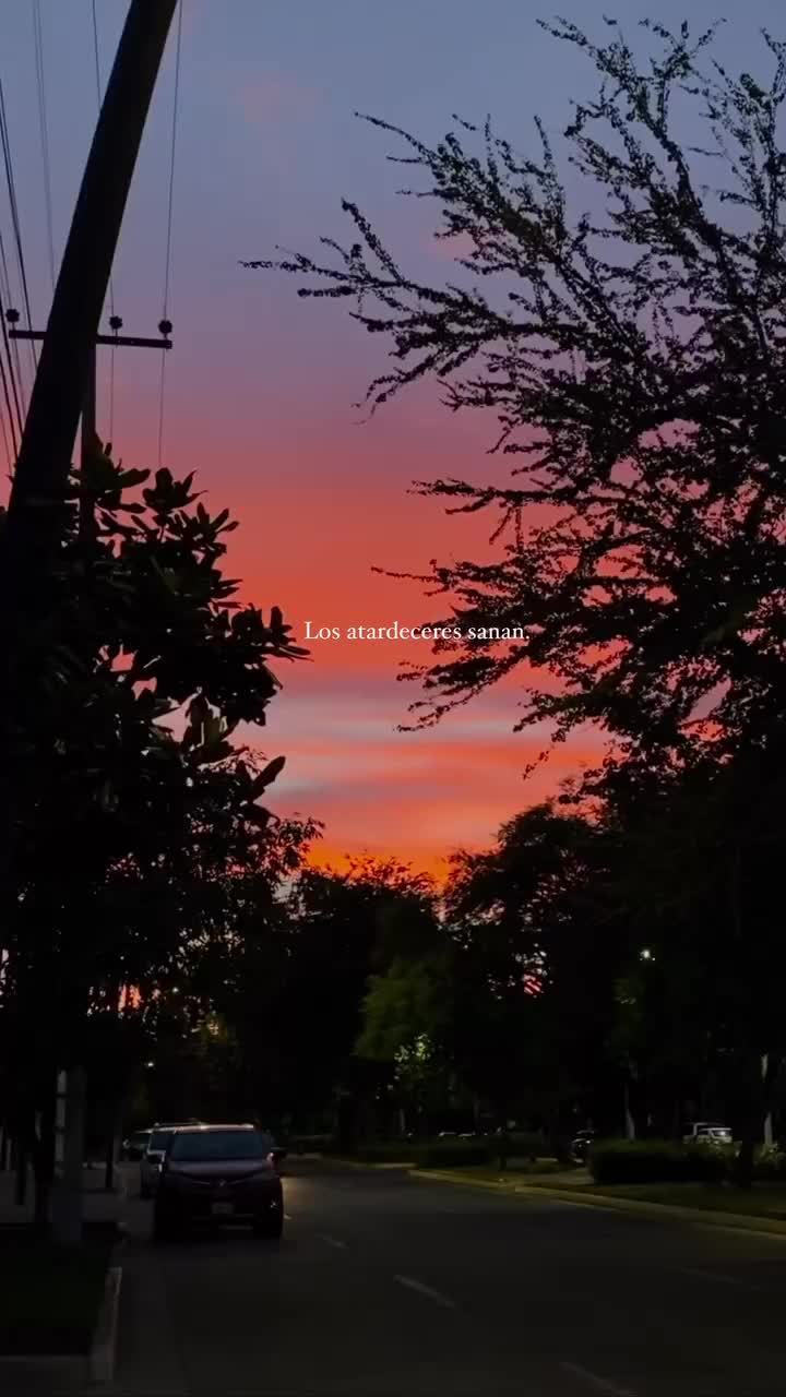 @Dxnxxlx✨🦋