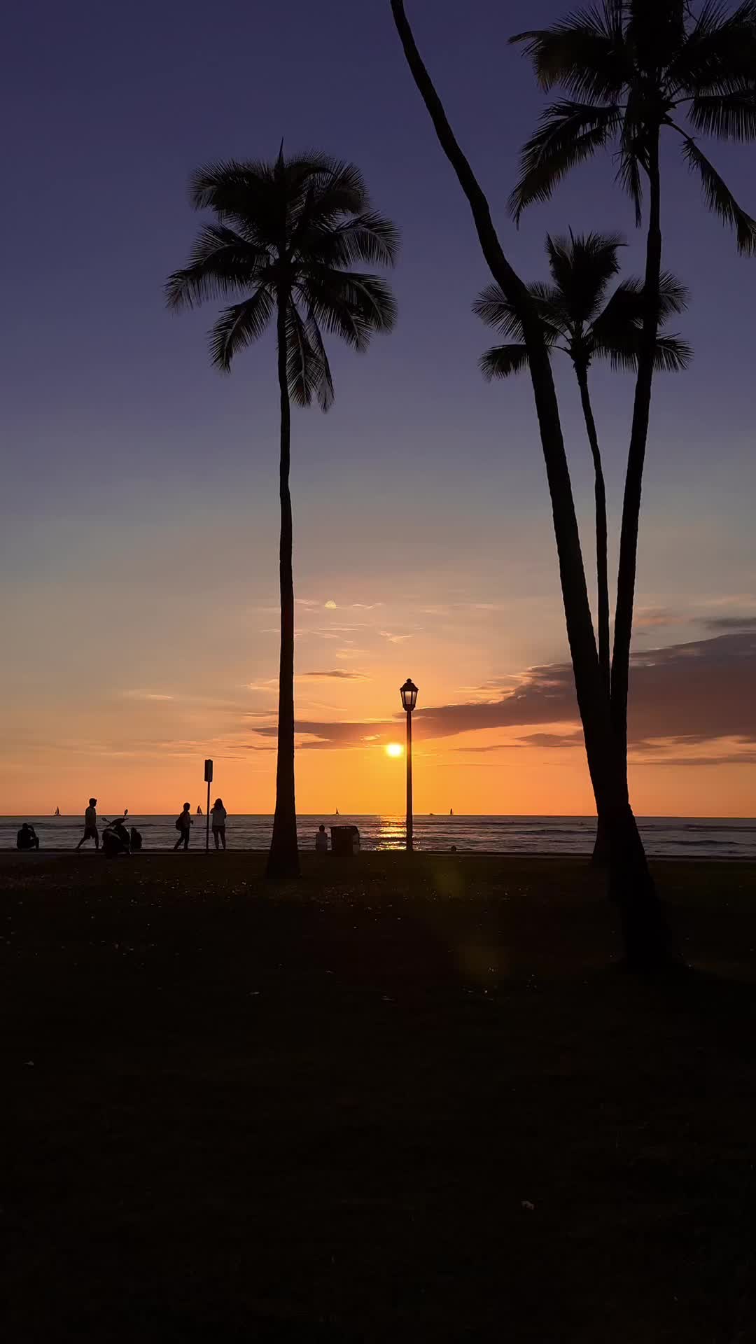 @POCKET HAWAII | ポケットハワイ