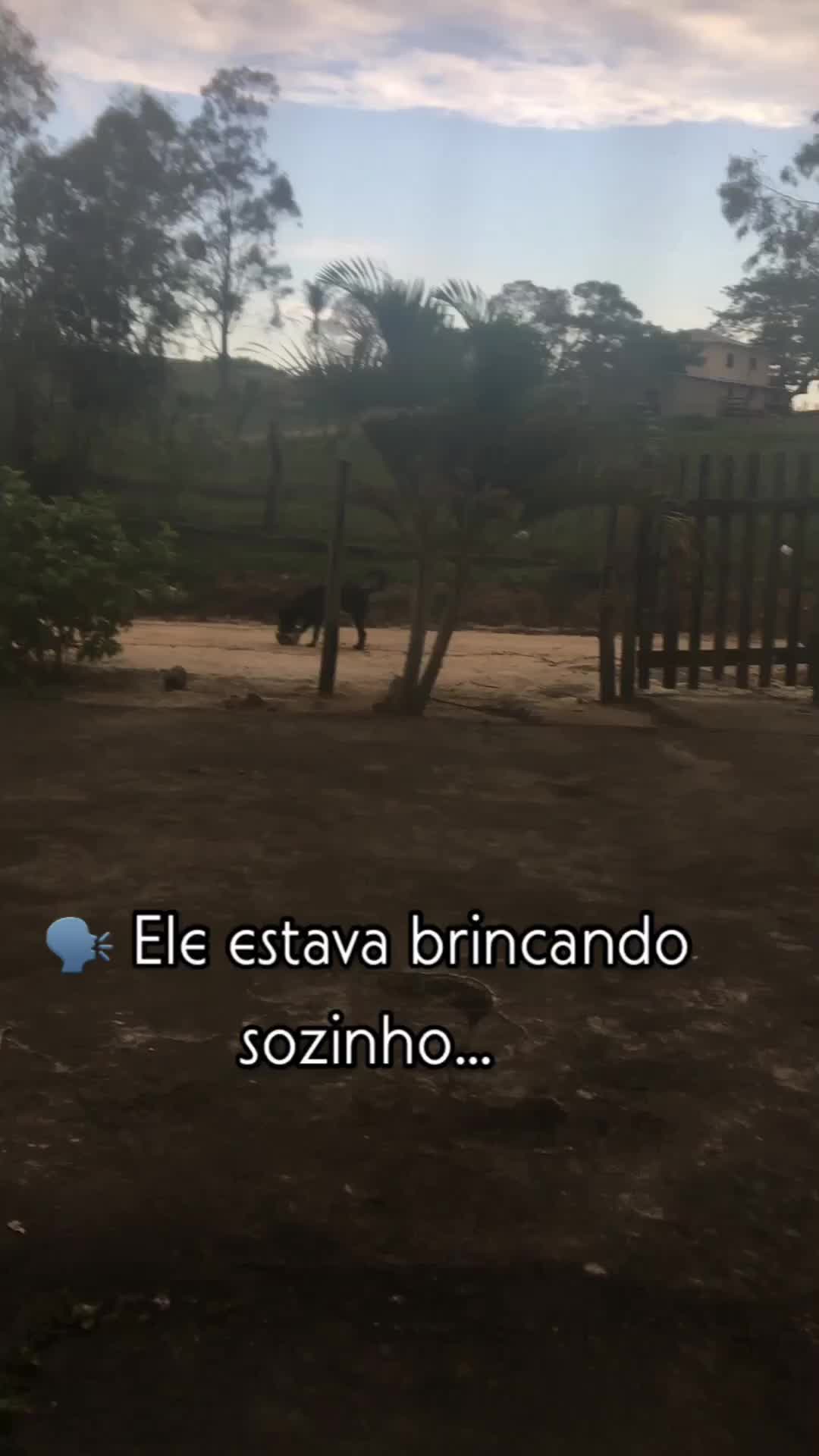 @Rosiani Sá Freire