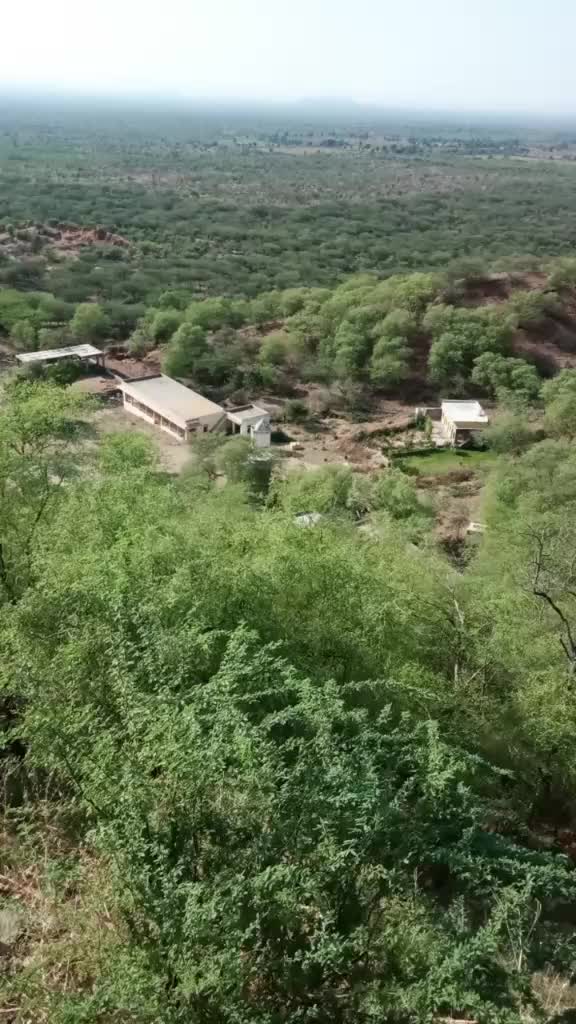 @ravina rajpurohit