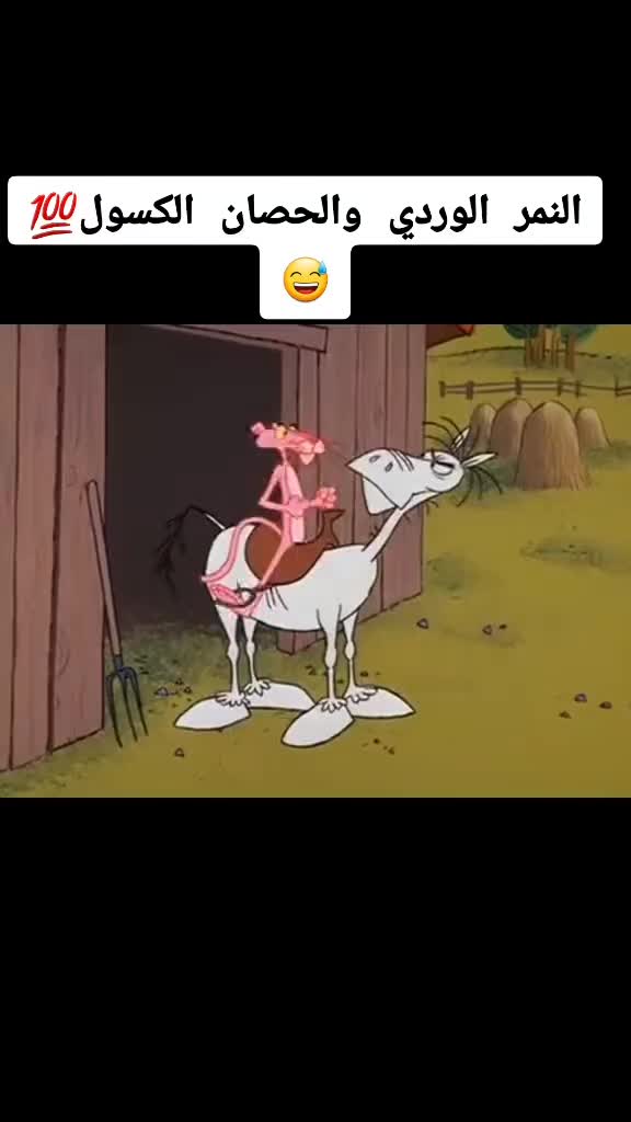 @خال قطري🤍🇶🇦🤍