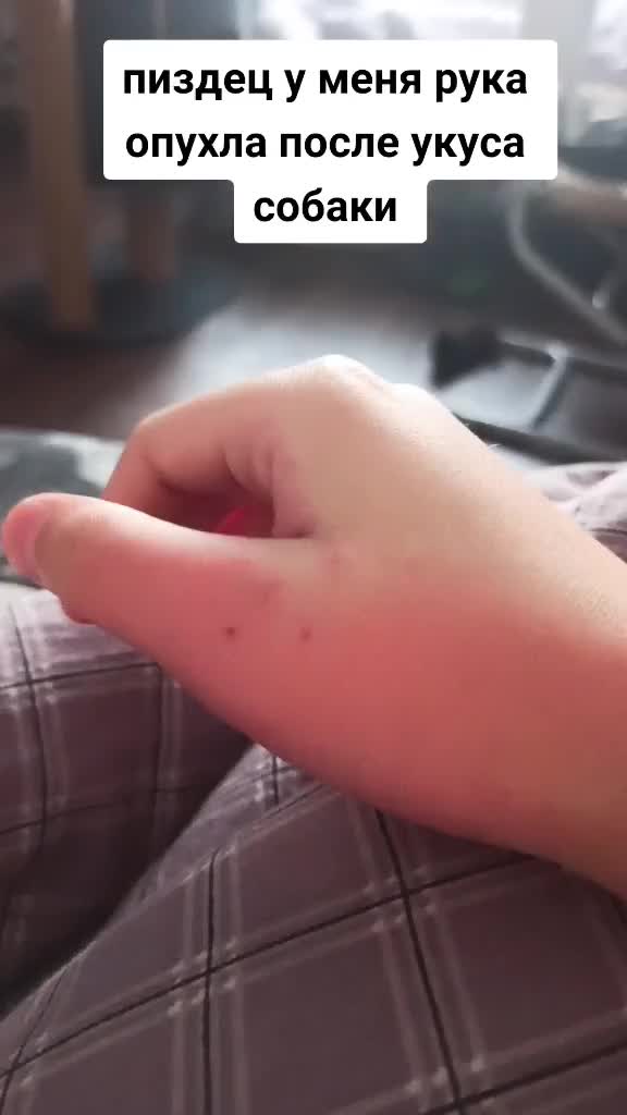 @питорка
