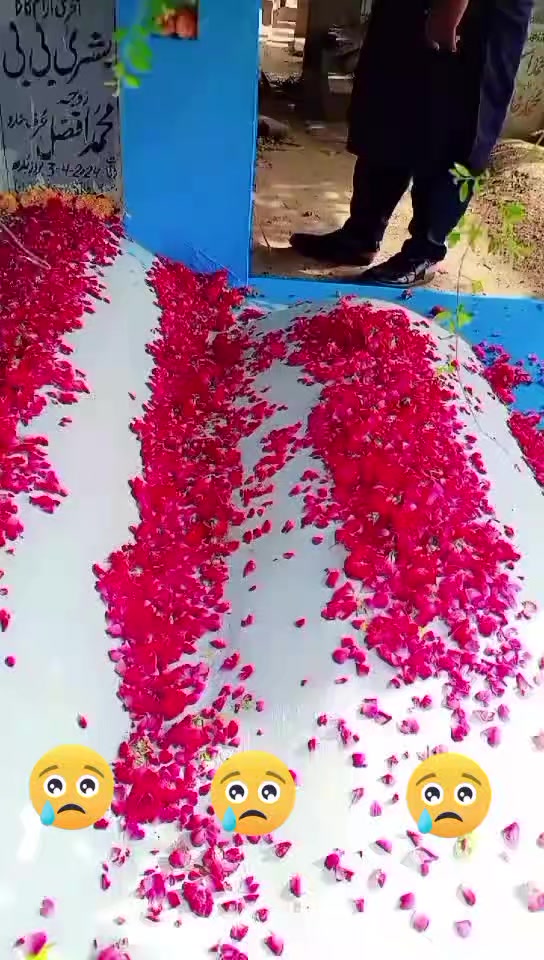 @shahbaz