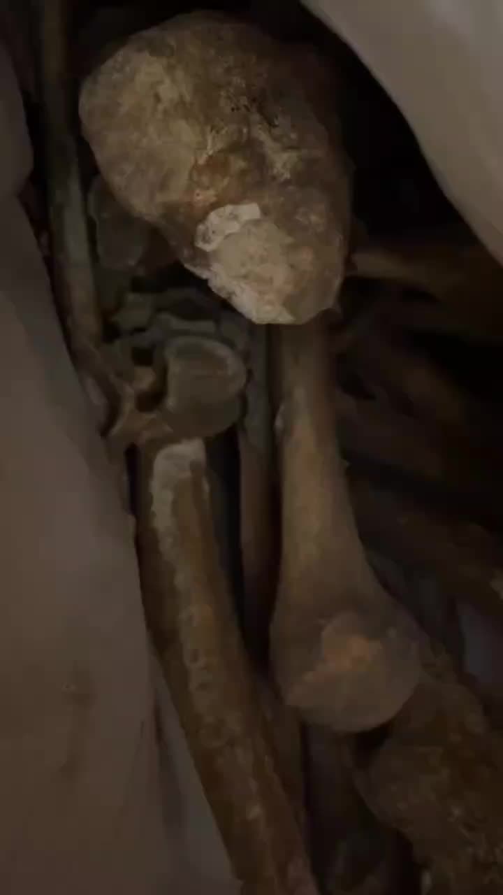 @ℝ𝕠𝕟𝕟𝕪