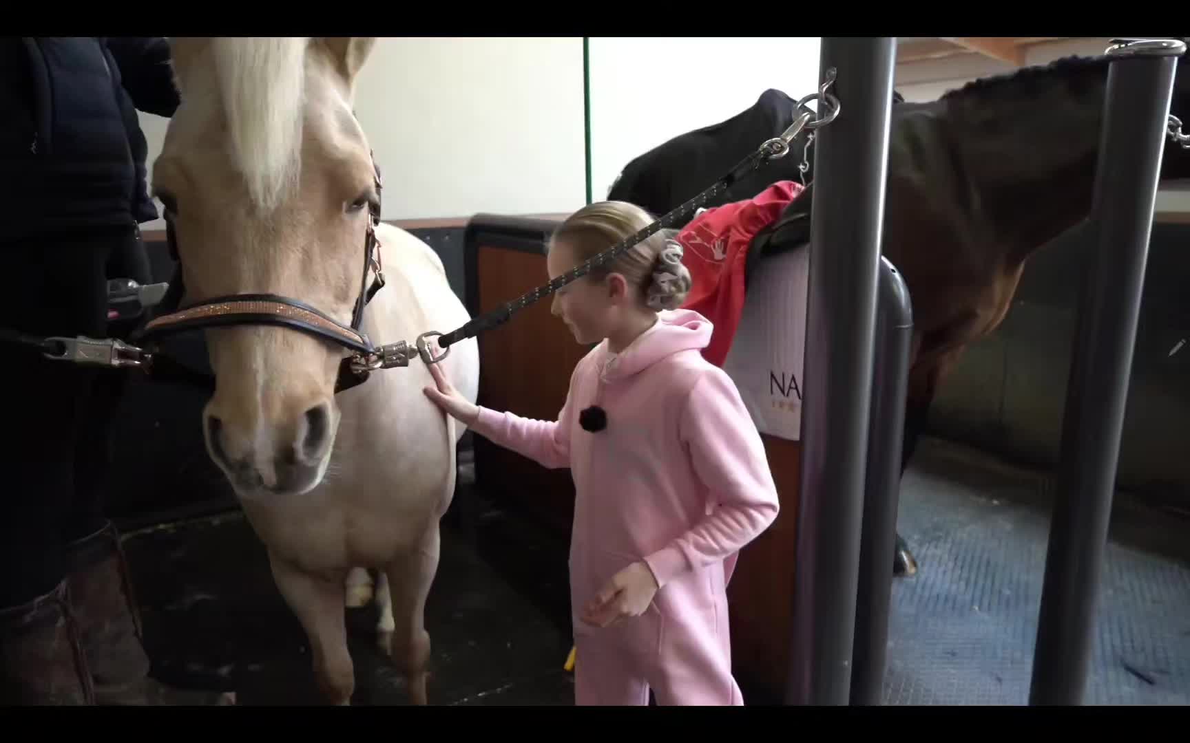@🐴♦️Harlow&Ruby♦️🐴