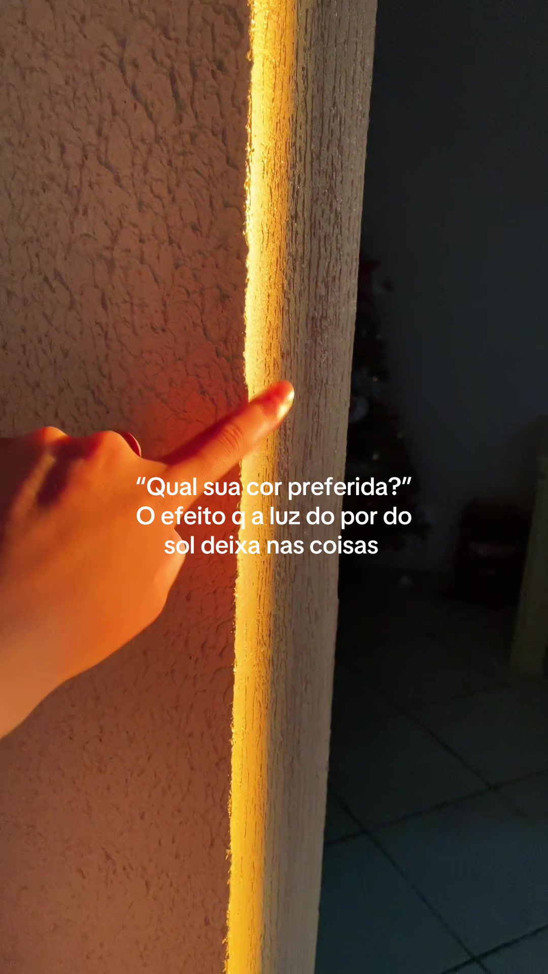 @Ana Lee Palmonari 🪷